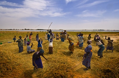 Rivoluzione agricola